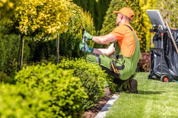 Gardening & Grounds photo