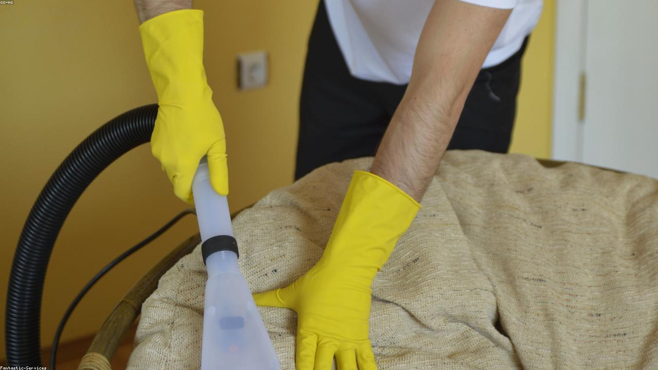 Upholstery Cleaning image