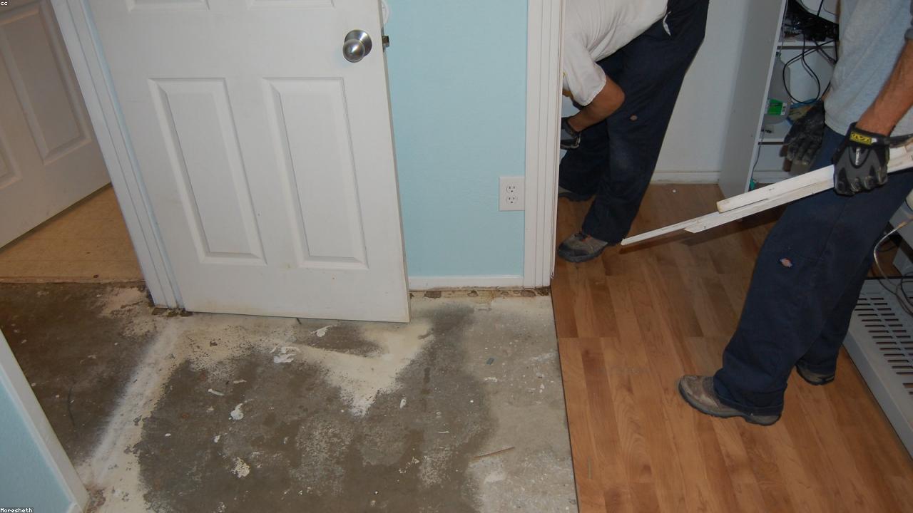 Water Damage Restoration photo